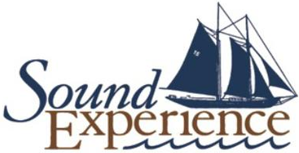 Sound Experience